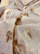 Off White with tint of Gold Linen Soft Tissue Silk Saree with Banarasi Borders and Pallu