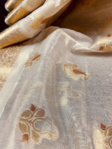Off White with tint of Gold Linen Soft Tissue Silk Saree with Banarasi Borders and Pallu
