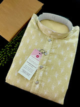 Pastel Pista Green Men Kurta with tiny Sequins | Soft Silk with Lining | Sequin Kurta with Digital Print | Indian Men Ethnic Outfit