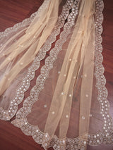 Beige Color Soft Net Dupatta with Muted Gold Zari and Artifical Mirror | Dupatta for Lehanga | Wedding Dupatta | Dupatta for Suit