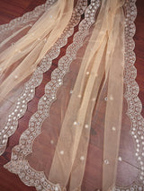 Beige Color Soft Net Dupatta with Muted Gold Zari and Artifical Mirror | Dupatta for Lehanga | Wedding Dupatta | Dupatta for Suit