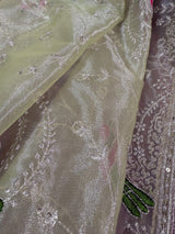 Pastel Pista Green Color Tissue Net Dupatta with Sliver Zari | Parrot Motifs | Blue Color Dupatta | Dupatta for Gifts