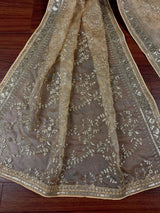 Statement Gold Beige Color Organza Silk Dupatta with Muted Gold Zari, Embroidery and Sequin | Wedding Dupatta | Lehanga Dupatta