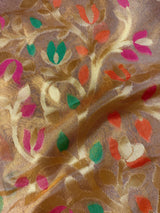 Gold Tissue Silk saree — Kaash Collection