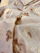 Off-White with Gold Tint Linen Tissue saree in linen soft tissue silk with banarasi borders & pallu on linen tissue — Kaash Collection