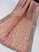 Pastel Peach soft organza silk dupatta with gold zari embroidery & sequin jaal — Kaash Collection