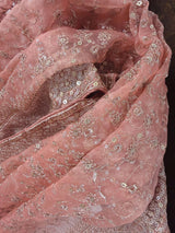 Pastel Peach soft organza silk dupatta with gold zari embroidery & sequin jaal — Kaash Collection