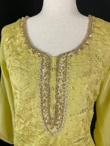 Pastel Pista Green Chikhenkari Salwar Kameez with Dupatta - Embroidery, Mirror and Stone Work - Handwork 3pcs Suit for Women - Kaash