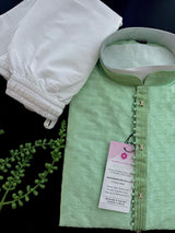 Pastel Sea Green Raw Silk Kurta Pajama Set for Men - Kaash