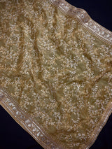 Beige soft organza silk dupatta with muted gold zari, embroidery & sequins — Kaash Collection