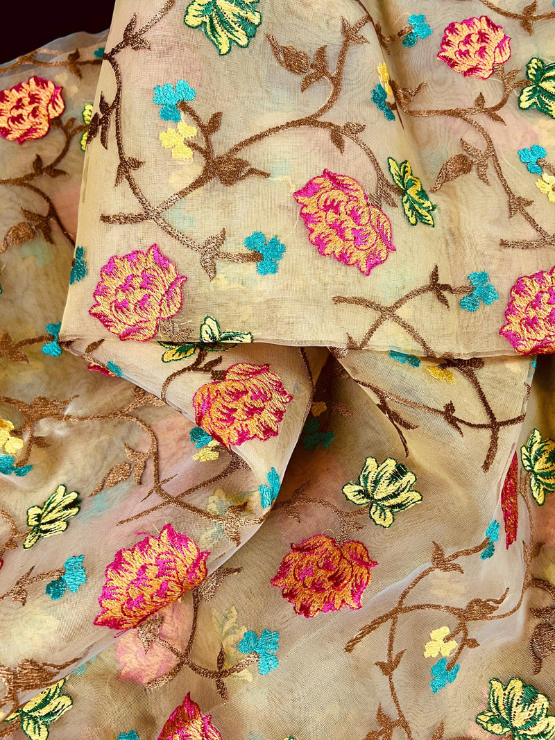 Handmade Beige Color Banarasi Kora Organza Saree with Raw Silk Patta on the Border - Floral Jaal Embroidery - Kaash