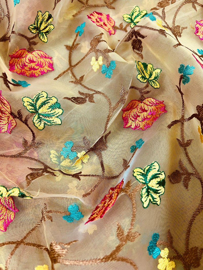 Handmade Beige Color Banarasi Kora Organza Saree with Raw Silk Patta on the Border - Floral Jaal Embroidery - Kaash