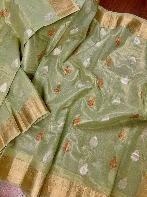 Pista Green with tint of Gold Linen Soft Tissue Silk Saree with Banarasi Borders and Pallu | Light Weight Saree | Kaash Collection