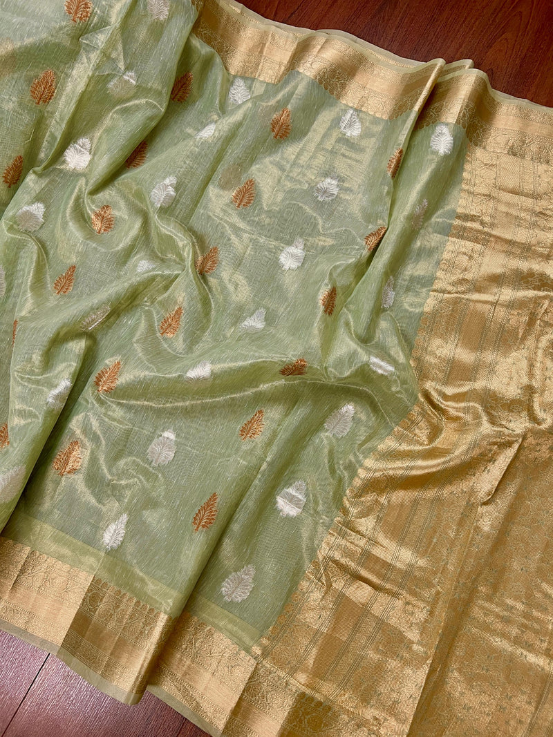 Pista Green with tint of Gold Linen Soft Tissue Silk Saree with Banarasi Borders and Pallu | Light Weight Saree | Kaash Collection