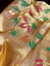 Gold Tissue Silk saree — Kaash Collection