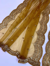 Golden Brown Color Net Dupatta with Zari, Sequin and Beads | Sequin Dupatta | Sequin Dupattas | Indian Dupatta for Lehanga