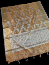 Gold Tissue Silk saree with Banarasi with Meenakari Jaal — Kaash Collection