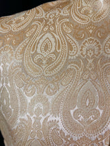 Light Gold men's Nehru/Modi jacket in banarasi silk (handwoven) with handwoven banarasi design — Kaash Collection