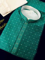 Emerald Green men's kurta pajama in premium silk blend (self-patt) with self-patt wedding silk blend weave — Kaash Collection