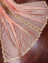 Pastel Peach soft organza dupatta with zari, sequins & silk border — Kaash Collection