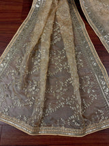 Gold Beige soft organza silk dupatta with muted gold zari, embroidery & sequin — Kaash Collection