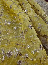 Pastel Mehandi Green soft organza silk dupatta with zari, embroidery & sequin — Kaash Collection