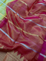 Yellow Gold Tissue Silk Saree with Hot Pink Banarasi Border, Zari Checks - Kaash
